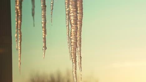 Close-up-long-icicles-on-roof-with-orange-sunlight-in-winter