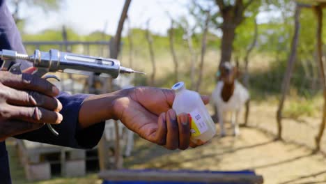 Veterinarian-Filling-a-Syringe-With-Medication-for-goats