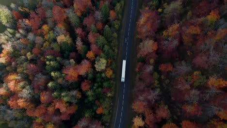 aerial-shot-over-a-beautiful-road-surounded-by-colorful-trees-during-fall-and-tilting-up-to-reveal-the-landscape,-jura-departement,-french-countryside
