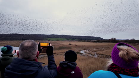 Birdwatchers-watching-the-winter-spectacle-of-a-large-starling-murmuration-from-the-sky-tower-that-gives-a-view-over-the-reedbeds,-at-Leighton-Moss-RSPB-nature-reserve