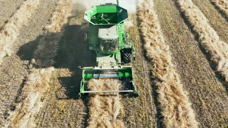 Drone-shot-of-a-John-Deere-combine-picking-up-a-canola-swath-approaching-the-camera
