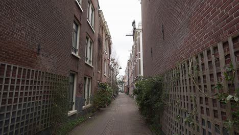 Small-street-through-residential-neighborhood-in-Amsterdam
