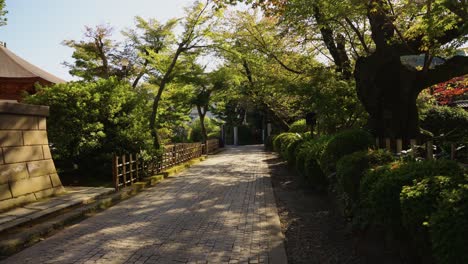 Japanese-Garden-and-Path-to-Gotokuji-Temple,-Setagaya,-Tokyo-4k