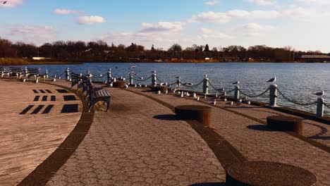 A-low-angle-shot-by-Meadow-Lake-in-Queens,-New-York-on-a-sunny-day