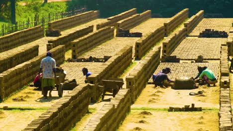 Trabajadores-De-Ladrillos-De-Arcilla-En-El-Fabricante-Del-Campo-De-Ladrillos-Secándose-Bajo-El-Sol-En-Bangladesh,-Asia-Del-Sur