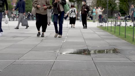 Locales-Japoneses-Caminando-Junto-A-Un-Grupo-De-Pequeños-Gorriones-Bebiendo-Agua-De-Una-Piscina-En-La-Superficie-De-Concreto-En-La-Plaza-Marunouchi,-Adyacente-A-La-Estación-De-Tokio-En-Japón