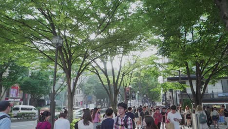 Handheld-slow-motion-shot-of-scattered-sunlight-through-green-trees-over-busy-Tokyo-street