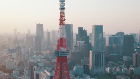 Skyline-of-Tokyo,-Japan-with-the-Tokyo-Tower-in-the-front