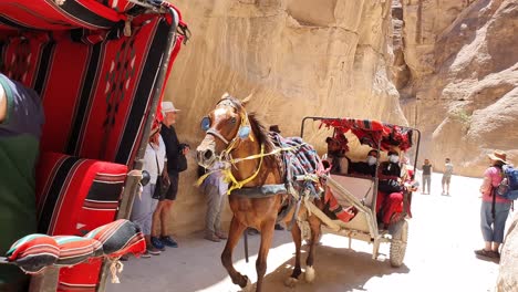Reisende-Machen-Platz,-Während-Zwei-Pferdekarren-Mit-Touristen-In-Den-Engen-Passagen-Zwischen-Den-Schluchten-Von-Petra-Vorbeifahren