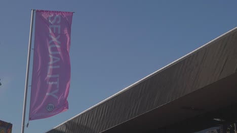 Pink-waving-flag-with-a-“sexuality”-inscription