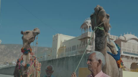 Ein-Kameltreiber-In-Indien-Mit-Seinen-Kamelen