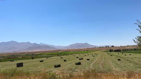 hay-bale-in-traditional-agriculture-in-summer-season-in-fertile-plain-green-hills-in-Iran-middle-east-asia-traditional-village-life-rural-countryside-local-people-farmer-work-on-field-farm-land-Fars