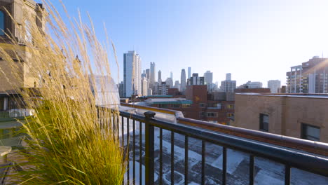 Wide-shot-of-the-downtown-Chicago-skyline-with-plants-in-the-foreground