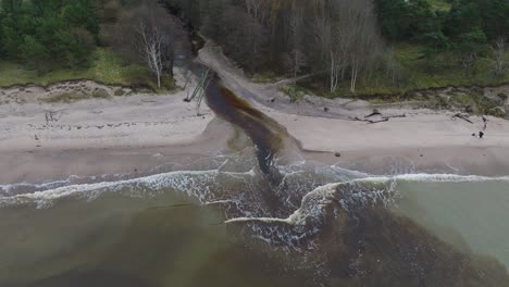 Aerial-establishing-view-of-a-small-dark-river-flowing-into-the-Baltic-sea-near-Liepaja-,-white-sand-beach,-overcast-autumn-day,-wide-drone-shot-moving-forward,-tilt-down