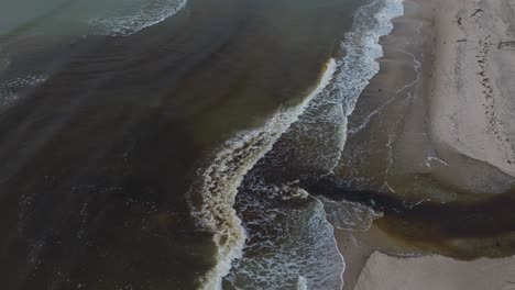 Aerial-establishing-view-of-a-small-dark-river-flowing-into-the-Baltic-sea-near-Liepaja-,-white-sand-beach,-overcast-autumn-day,-wide-birdseye-drone-shot-moving-forward