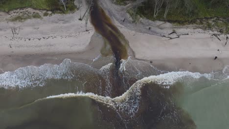Aerial-establishing-view-of-a-small-dark-river-flowing-into-the-Baltic-sea-near-Liepaja-,-white-sand-beach,-large-sea-waves,-overcast-autumn-day,-wide-birdseye-drone-shot