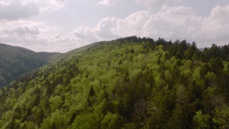 Aerial-of-a-forest-on-a-hill-in-Jura,-Switzerland