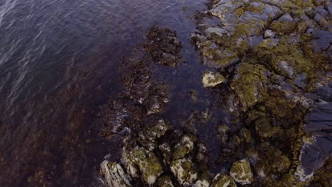 Antena-De-Rocas-En-El-Agua-En-Una-Orilla-Al-Atardecer-En-Lofoten,-Noruega
