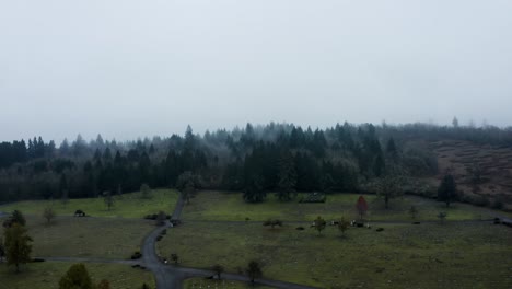 Tannenbäume-Ragen-Empor-In-ätherischem-Nebel-Und-Bilden-Eine-Ruhige-Skyline-Inmitten-Der-Schönheit-Der-Natur