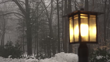 Focus-pull-onto-a-front-yard-light-in-winter