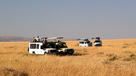 Turistas-En-Safari-En-Camionetas-Y-Jeeps-En-La-Reserva-Nacional-Masai-Mara-En-Kenia,-África