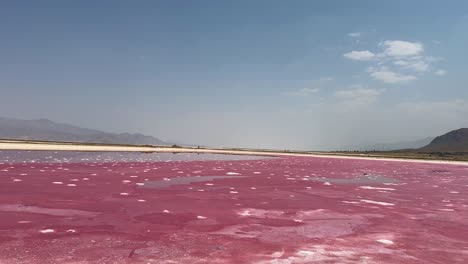 Lago-Rosa-Agua-Salada-Paisaje-Escénico-De-Maharloo-Flamingo-Beach-En-Irán-Temporada-De-Verano-Viaje-Al-Desierto-Maravillas-Maravillosas-Atracción-Turística-Icónica-Vista-Amplia-Del-Horizonte-Ambiente-Montañoso-Naturaleza-Algas