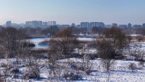 Bird's-Eye-Perspective-Over-a-Frozen,-White-Landscape-In-Vacaresti-Delta,-Bucharest,-Romania,-Frozen-Lakes