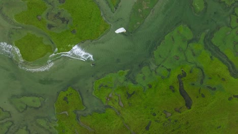 Luftaufnahme-Eines-Kiteboarders-Aus-Der-Vogelperspektive,-Der-Durch-Ein-Kleines-Flussdelta-Mit-Hellgrünem-Gras-Und-Klarem-Wasser-Rast
