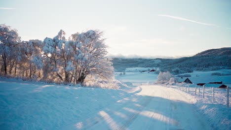 Countryside-Scene-With-Pathway-Covered-In-Snow-During-Winter---Wide-Shot