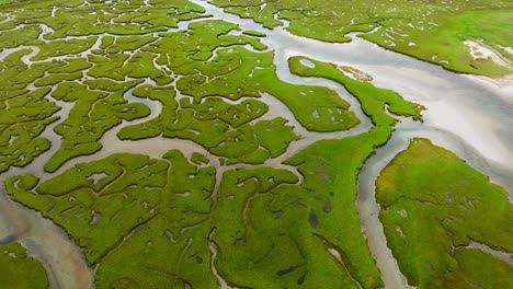 Aerial-view-of-the-beautiful-bright-green-river-delta-on-the-island-of-Achill-in-Ireland