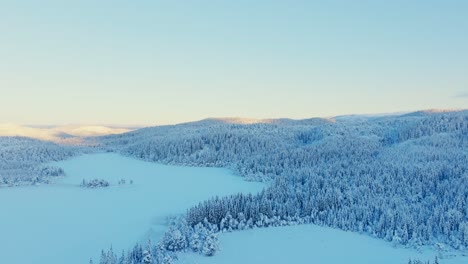 Panoramic-View-Over-Winter-Landscape-With-Frozen-Lake-And-Forest-In-Norway---Drone-Shot