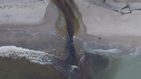 Aerial-establishing-view-of-a-small-dark-river-flowing-into-the-Baltic-sea-near-Liepaja-,-white-sand-beach,-overcast-autumn-day,-wide-ascending-drone-birdseye-shot