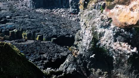 Bandada-De-Gaviotas-Volando-Sobre-Una-Formación-De-Roca-Basáltica-En-La-Península-De-Snaefellsnes,-En-El-Oeste-De-Islandia.
