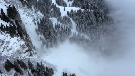 Drohnenflug-über-Eine-Wunderschöne-Winterlandschaft