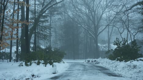 A-foggy-driveway-during-a-Winter-Warm-Up
