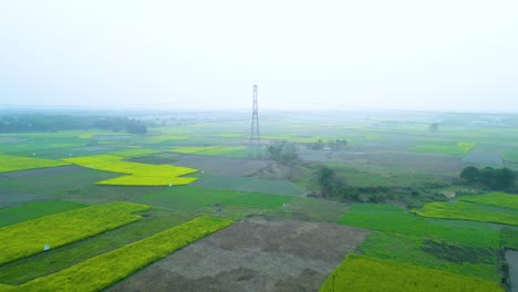 Aerial-view-of-yellow-and-green-field-landscape