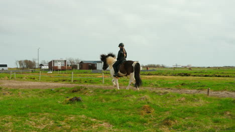 Outdoor-Icelandic-horseback-riding