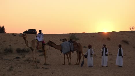 On-January-25,-2024,-Bedouins-guide-their-camels-through-the-Arabian-desert-as-the-sun-sets,-a-captivating-portrayal-that-echoes-Arab-history,-life-with-camels