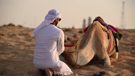 On-January-25,-2024,-A-Bedouin-plays-with-his-camels-in-the-Arabian-desert,-a-concept-reflecting-Arab-history-and-life-with-camels
