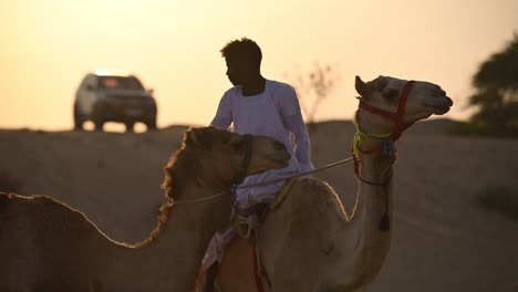 Am-25.-Januar-2024-Ein-Beduine-Mit-Seinen-Kamelen-In-Der-Arabischen-Wüste-Bei-Sonnenuntergang,-Ein-Konzept,-Das-Die-Arabische-Geschichte-Und-Das-Leben-Mit-Kamelen-Widerspiegelt
