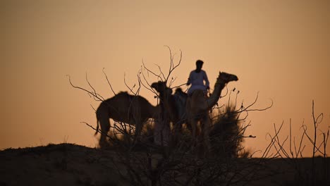 Beduinen-Führen-Ihre-Kamele-Bei-Sonnenuntergang-Durch-Die-Arabische-Wüste,-Eine-Fesselnde-Darstellung,-Die-Die-Arabische-Geschichte-Und-Das-Leben-Mit-Kamelen-Widerspiegelt