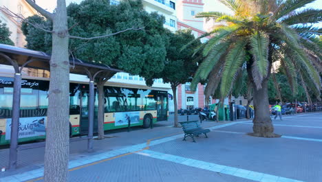 Eine-Ruhige-Bushaltestellenszene-In-Cádiz,-Spanien,-Mit-Einem-Ruhenden-Trolleybus,-üppigen-Palmen,-Einem-Kahlen-Baum,-Einem-Klaren-Blauen-Himmel,-Einer-Fußgängerpromenade,-Einer-Einsamen-Bank-Und-Typischer-Städtischer-Landschaftsgestaltung