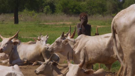 A-young-boy-from-the-Mundari-Tribe-walking-among-his-cattle