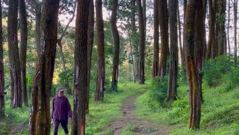Smoking-old-man-walking-in-the-middle-of-forest