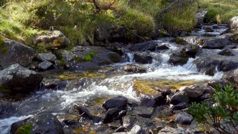 Ein-Kleiner-Natürlicher-Gebirgsbach-Fließt-Entlang-Eines-Steinigen-Flussbetts