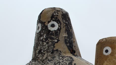 Street-artists-gave-tetrapods-eyes-and-turned-them-into-faces-in-Sylt,-Germany
