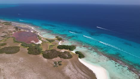 Aerial-view-of-a-tropical-shoreline-with-lush-trees,-clear-blue-waters,-and-coral-reefs