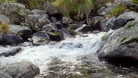 Natural-mountain-creek-flows-along-a-stony-riverbed