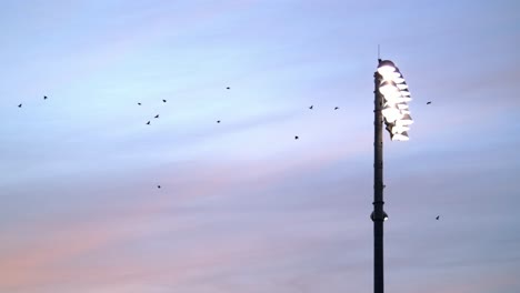 Vögel-Fliegen-Um-Ein-Flutlicht-Vor-Einem-Abendhimmel,-Ruhige-Szene