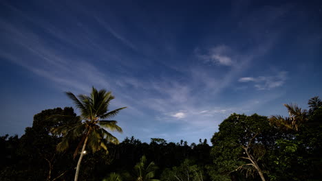 Timelapse-of-clouds-passing-fast-in-the-sky-over-palm-trees